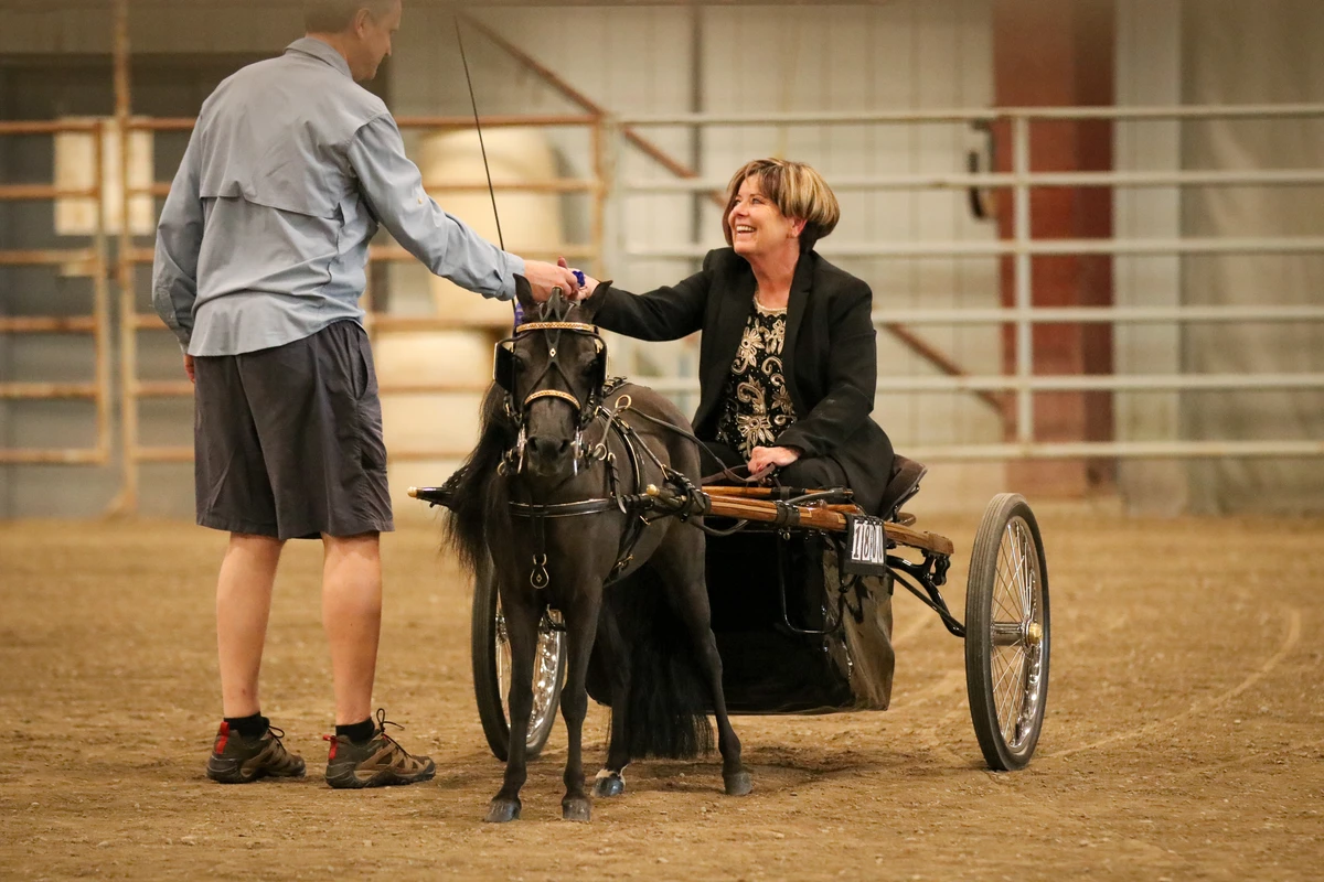 Miniature Horse